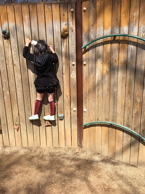 1B8CA076-A8DF-4519-8262-20A8A3992B1F.jpeg