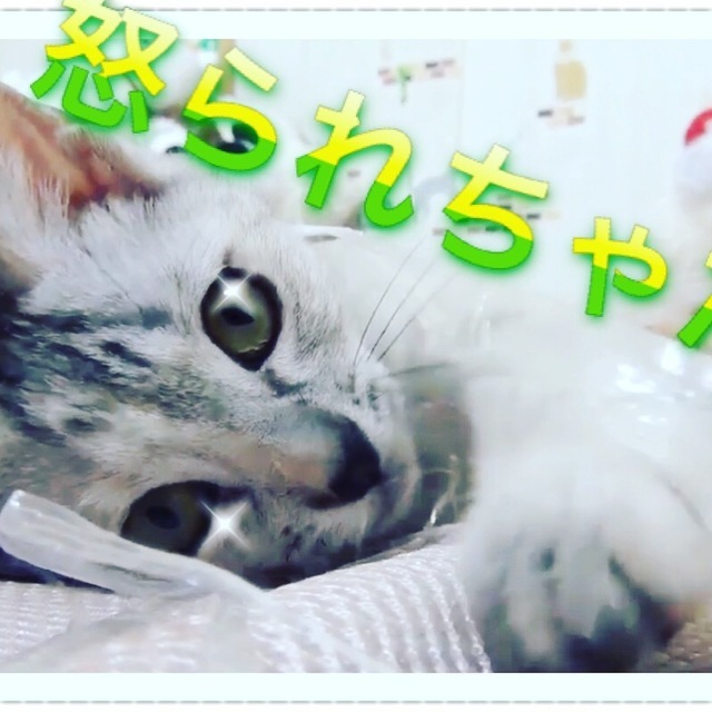 C21E635E-F25A-491F-9C47-B1AA3C061765.jpeg